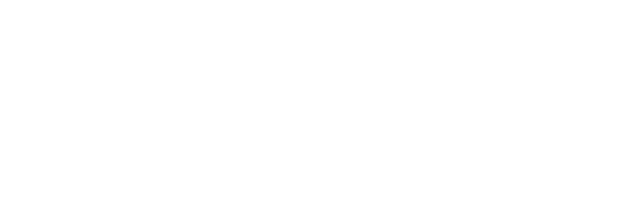 Ícone SensICE